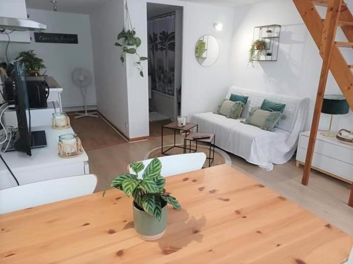 Duplex A La Gare Du Mans Bed & Breakfast Le Mans Ngoại thất bức ảnh